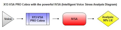 X13-VSA voice lie detector software - Analysis Diagram
